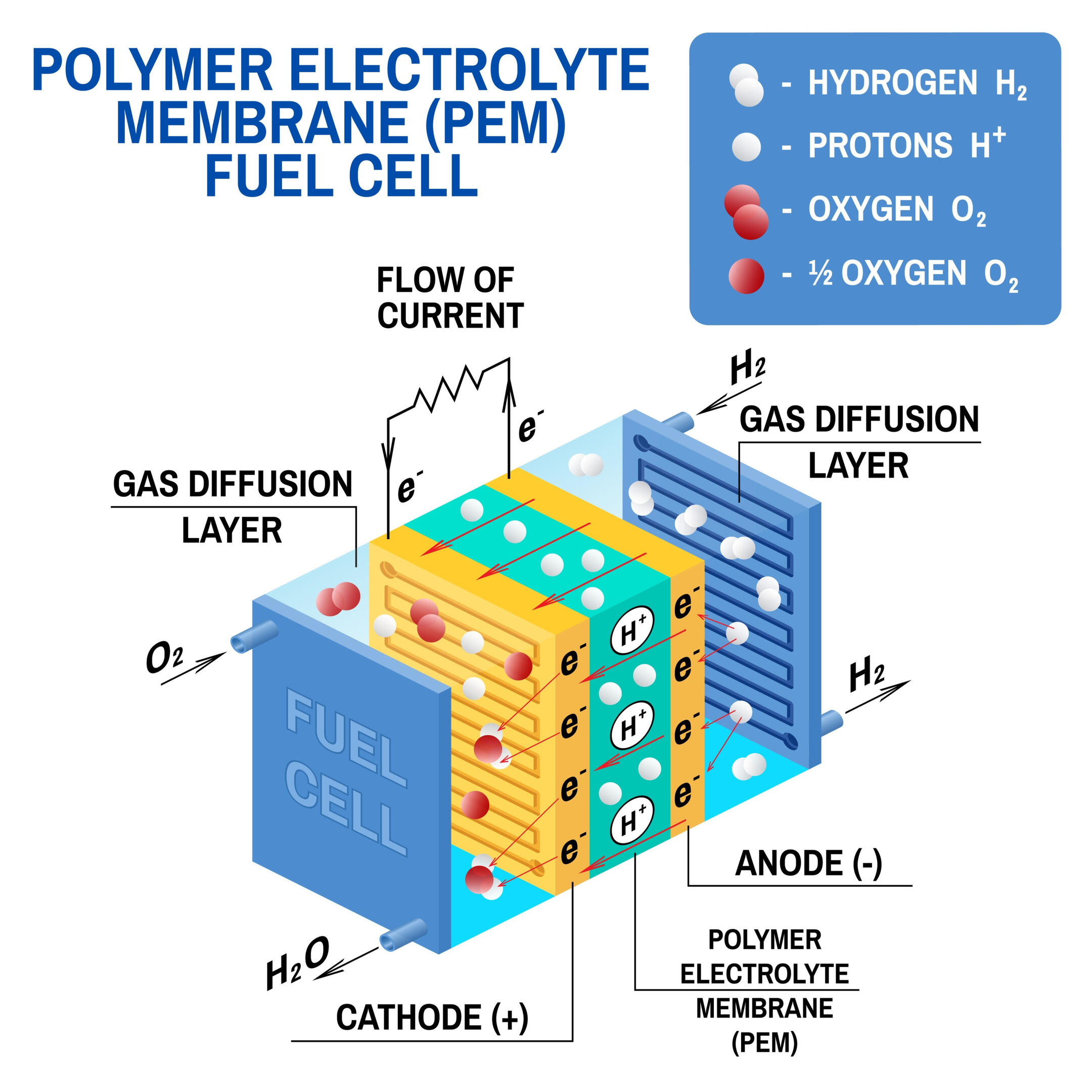 Polymer Electrolyte Membrane Fuel Cell PEM Fuel Cell